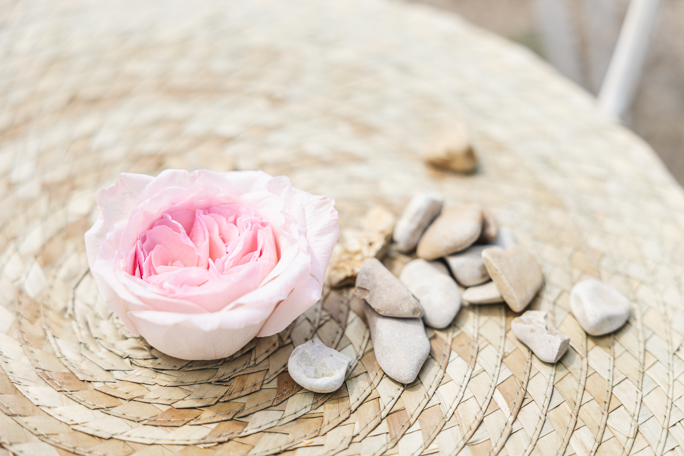 photo de détails de décoration de mariage à Chalons en Champagne